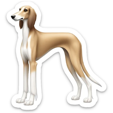 Saluki dog sticker