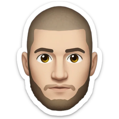 Ufc fighter khabib nurmagomedov Brazil  sticker