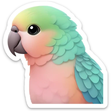 Rosy Bourke parakeet  sticker