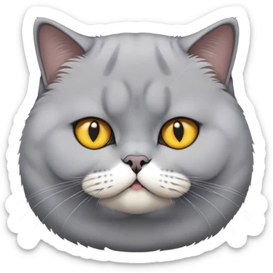 Chubby British shorthair cat with yellow eyes sticker
