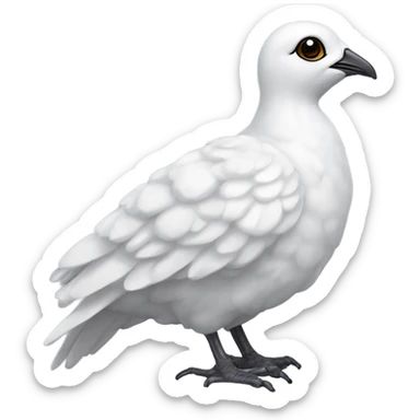 Rock ptarmigan  sticker