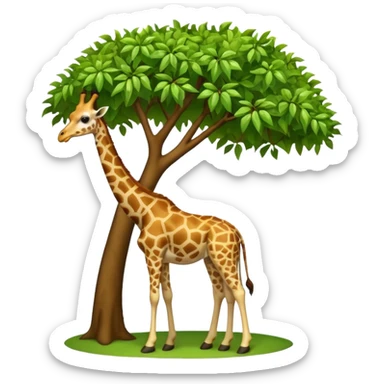 giraffe eating leaves from a tree sticker