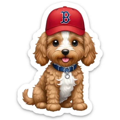 Cockapoo wearing Red Sox  sticker