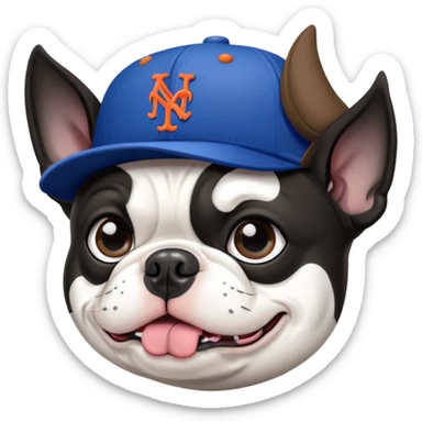 Boston terrier wearing a New York Mets hat sticker