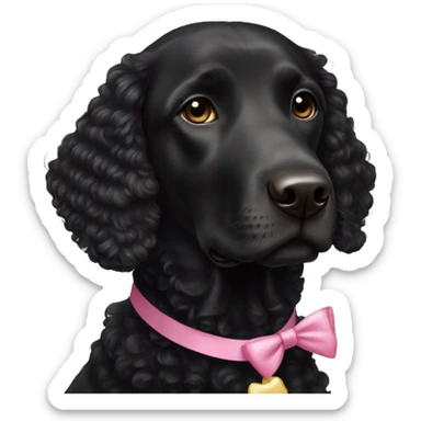 female black curly retriever with pink bows above her ears sticker