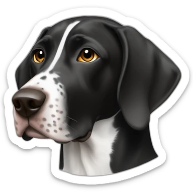 black & white german shorthair pointer, black head sticker