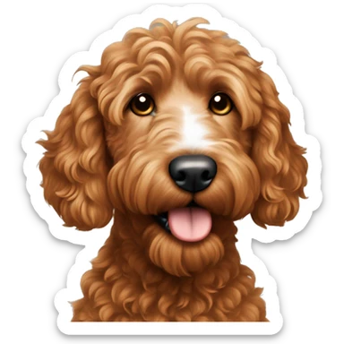 red goldendoodle with wavy hair and a white nose sticker