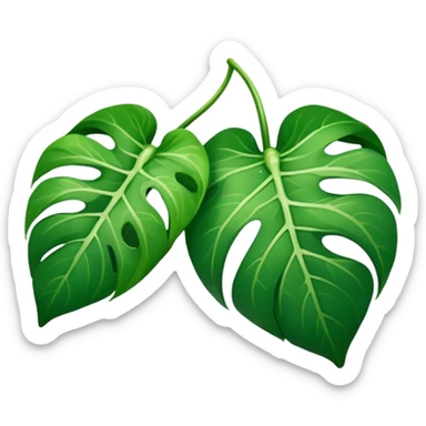 pothos leaf































































 sticker