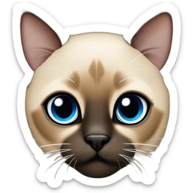 tan brown and black siamese Cat with blue eyes and white chin sticker