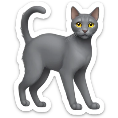 fluffy grey korat breed cat with yellow eyes black pupils, walking and playing female side view sticker