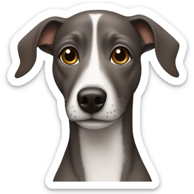 Dark Grey brown Formosa mountain dog and Italian greyhound mix sticker