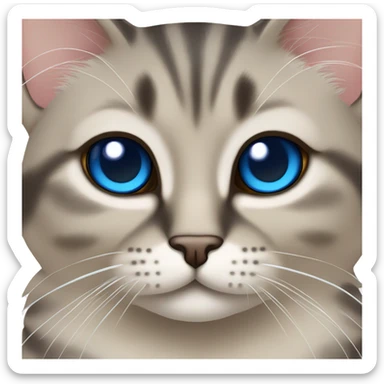 un chat siamois croisé tabby au yeux bleu sticker