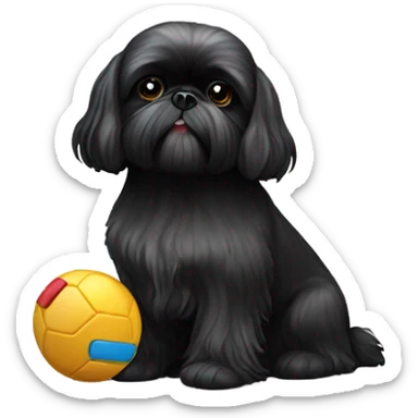 Black Shih Tzu with toy sticker