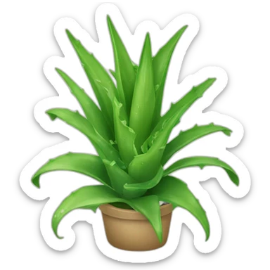 Aloe vera sticker