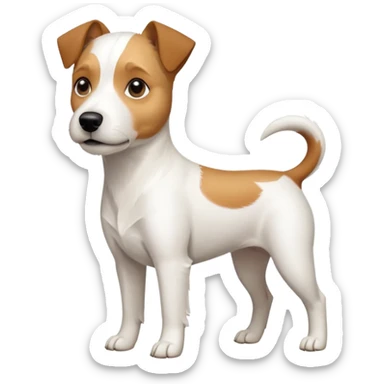a full body slightly chubby white parson russell terrier looking dog the size of a kelpie with light brown long ears and a light brown patch on one eye and a large snout. the rest of the dog is completely whiteforward facing sticker