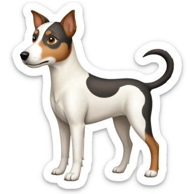 a full body large white parson russell looking dog the size of a kelpie with light brown ears and a light brown patch on one eye and a large snout sticker