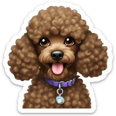 miniature brown curly hair poodle on the beach  sticker