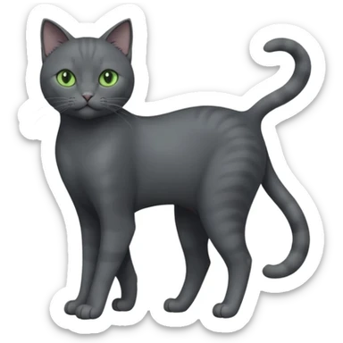 full body view of beautiful female solid dark grey cat with green eyes, grey face, white toes/paws and small white patch on her chest sticker