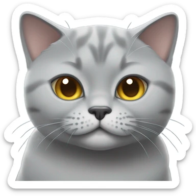 Gray British shorthair cat with a grin  sticker