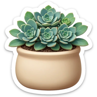 Sedum Pachyphyllum succulent with chubby blue-green leaves in a beige ceramic pot sticker