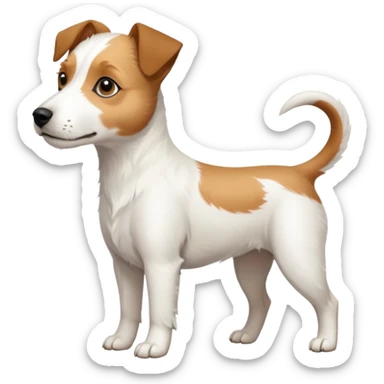 a full body slightly chubby white parson russell terrier looking dog the size of a kelpie with light brown long ears and a light brown patch on one eye and a large snout sticker