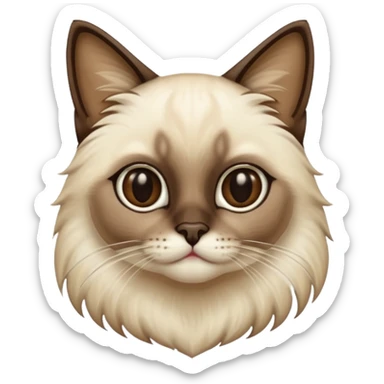 
Siamese cat: long hair fur sticker