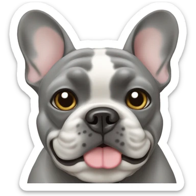 Grey French bulldog with white chest  sticker