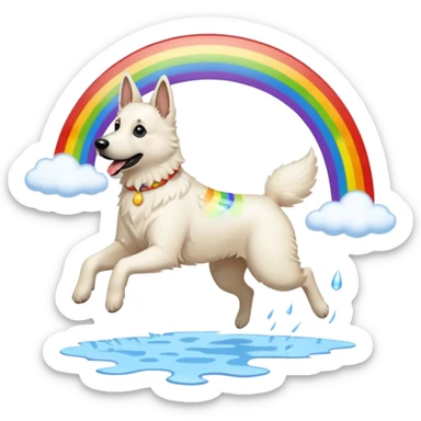 White belgian Shepard jumping over Rain puddles. There is a rainbow in the sky sticker