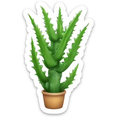 Aloe vera plant sticker