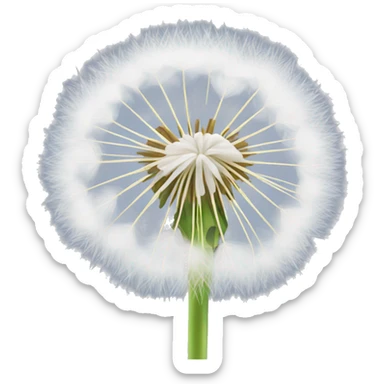 Fluffy white dandelion sticker