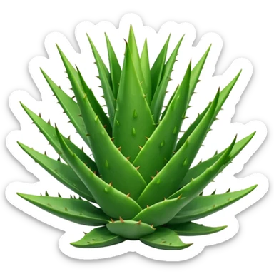 Aloe Vera sticker