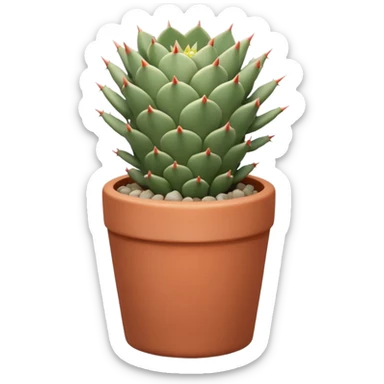 A ceramic pot in a pastel terracotta color, shaped like a cylinder, the pot is tall and contains an Acanthocalycium Glaucum cactus plant. sticker