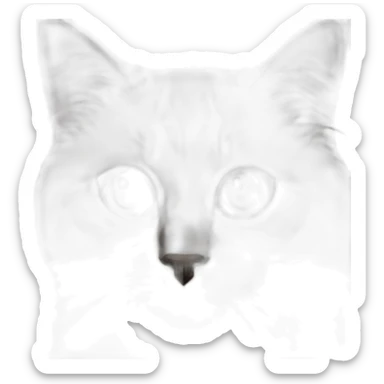 Birman cat with blue eyes sticker