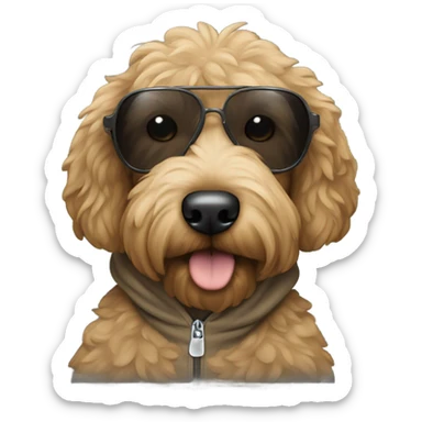 Black goldendoodle wearing a hoodie n sunglasses  sticker