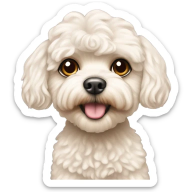 shaved maltipoo with fave hair but no body hair  sticker