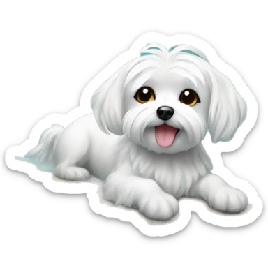 Adorable Maltese swimming in the pool sticker