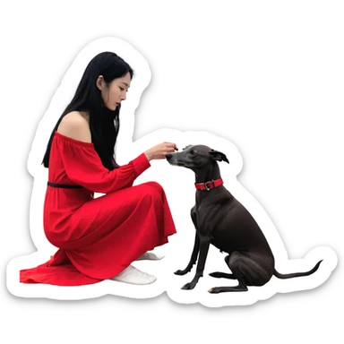 A beautiful 25-year-old Japanese woman with long flowing black hair wearing a stylish red beach dress, gently petting a PURE SOLID DARK GREY whippet with a bright RED COLLAR on a beach at night under a starry sky. The whippet MUST be 100% SOLID DARK GREY with ABSOLUTELY NO WHITE MARKINGS ANYWHERE - specifically NO WHITE on face, NO WHITE on chest, NO WHITE on paws - ENTIRELY ONE CONSISTENT SOLID DARK GREY COLOR throughout. Deep blue night sky filled with bright stars, moonlight reflecting on the ocean, sandy beach in the foreground. sticker