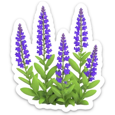 3D iOS cartoon style illustration of Salvia nemorosa with bright purple flowers, rich green leaves, expressive shadows and light accents, cartoon style, volumetric, transparent background sticker