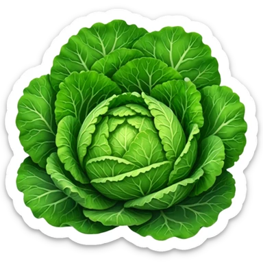 Savoy cabbage sticker