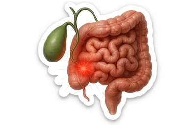 CISTIFELLEA E INTESTINO SONO COLLEGATI NEL DOLORE, iperrealistico 4k sticker