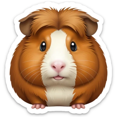 Conejo de indias sticker