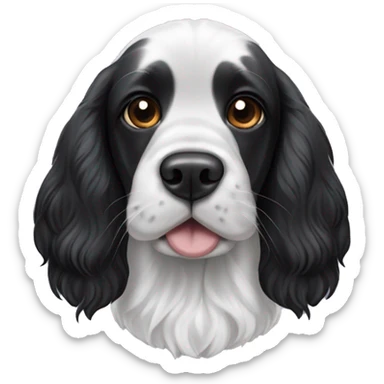 black and white english cocker spaniel with black ears and spota on nose sticker