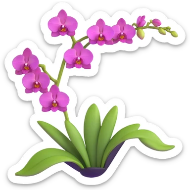 Realistic single orchid stem with multiple flowers arranged along one elegant arching stalk with green leaves sticker