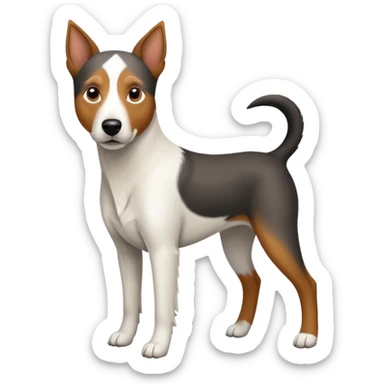 a full body large white parson russell looking dog the size of a kelpie with light brown ears and a light brown patch on one eye and a large snout sticker