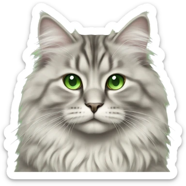Siberian cat  with green eyes sitting sticker