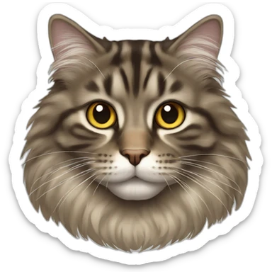 A maincoon cat sticker