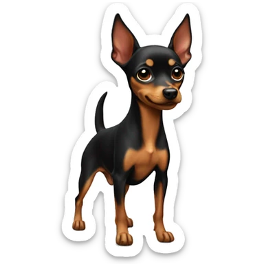 miniature pinscher sticker
