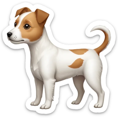 a full body slightly chubby white parson russell terrier looking dog the size of a kelpie with light brown long ears and a light brown patch on one eye and a large snout. the rest of the dog is completely white sticker