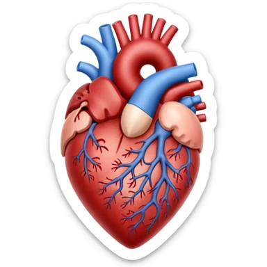 hand holding heart organ sticker
