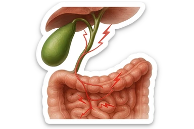 CISTIFELLEA E INTESTINO SONO COLLEGATI NEL DOLORE, iperrealistico 4k sticker